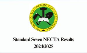 Standard Seven NECTA Results 2025/2026