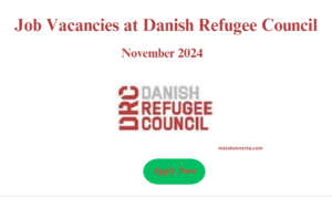 Job Vacancies at Danish Refugee Council November 2024
