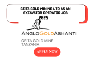 Geita Gold Mining Ltd as an Excavator Operator Job in Tanzania!