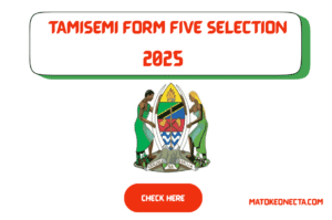 TAMISEMI Form Five Selection 2025/2026 Link