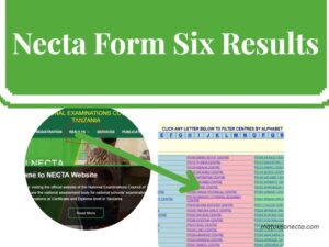 Form Six NECTA Results, Direct Link 2025/2026